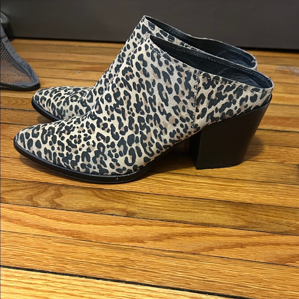 Dolce Vita Leopard Print Mules with Black Block Heel